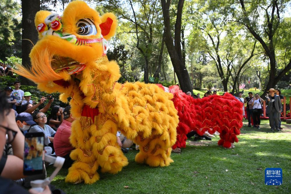 娱乐平台登录首页